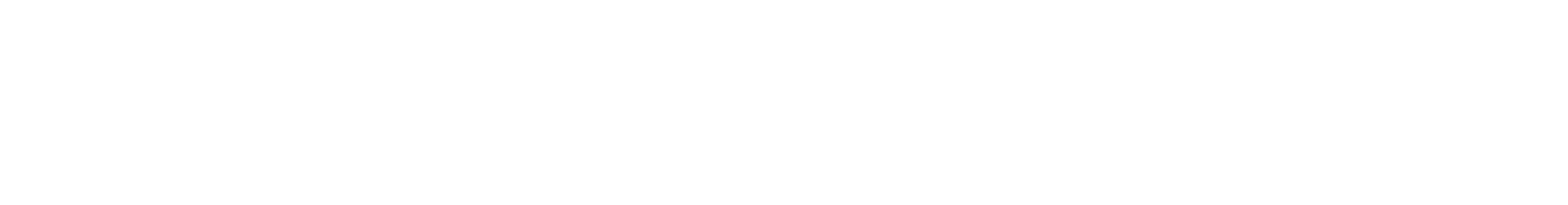 Lorem Experientiam